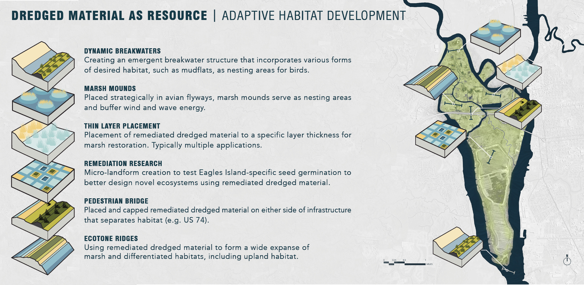 Adaptive Habitat Development with Dredged Material
